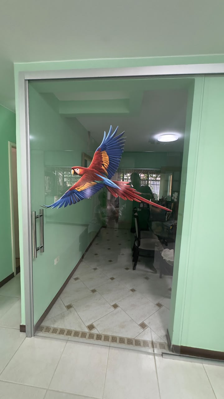 Adesivo decorativo de arara em porta de vidro